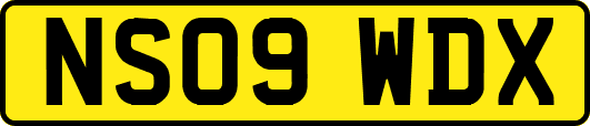 NS09WDX