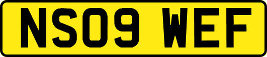 NS09WEF