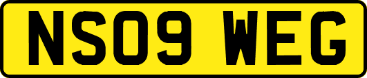 NS09WEG
