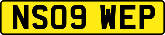 NS09WEP