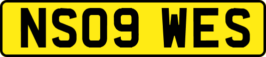 NS09WES