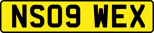 NS09WEX