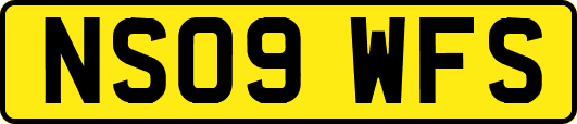 NS09WFS
