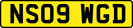 NS09WGD