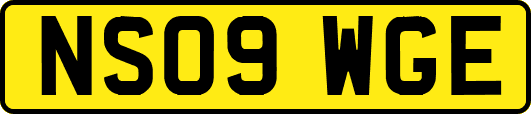 NS09WGE