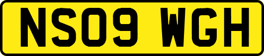 NS09WGH