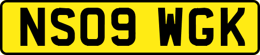 NS09WGK