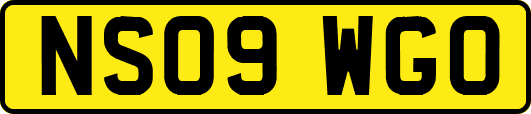 NS09WGO