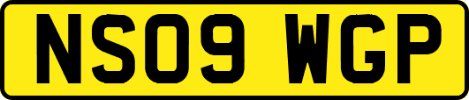 NS09WGP