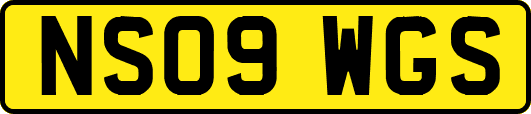 NS09WGS