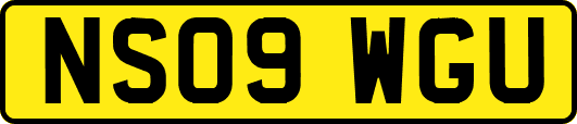 NS09WGU
