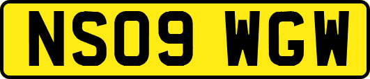 NS09WGW