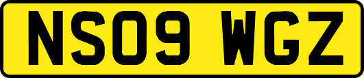 NS09WGZ