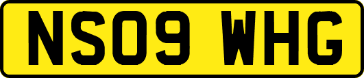 NS09WHG