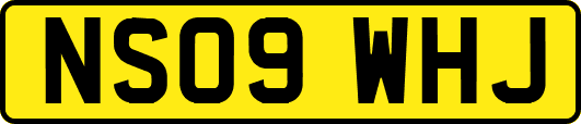 NS09WHJ