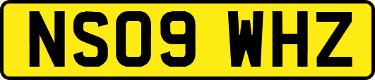 NS09WHZ