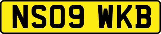 NS09WKB