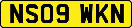 NS09WKN