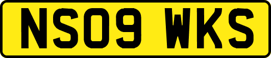 NS09WKS