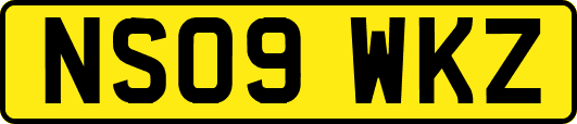 NS09WKZ