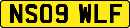 NS09WLF