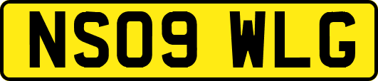 NS09WLG