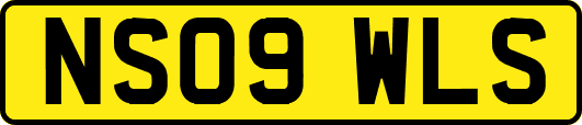 NS09WLS