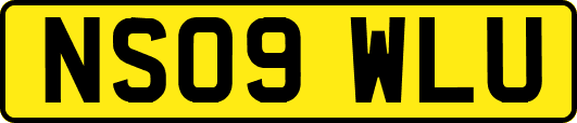 NS09WLU
