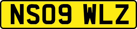 NS09WLZ