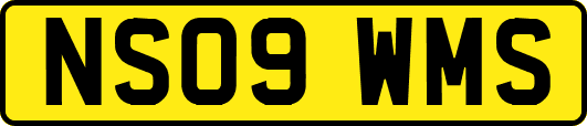 NS09WMS