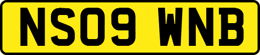 NS09WNB