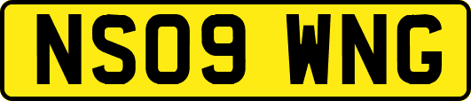 NS09WNG