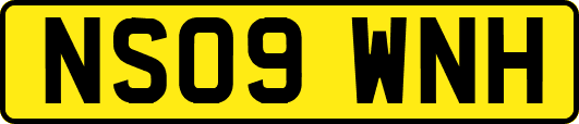 NS09WNH