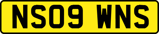 NS09WNS