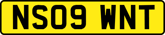 NS09WNT