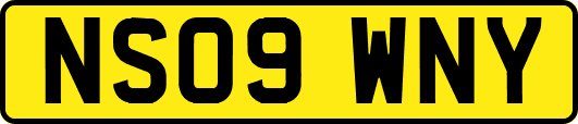NS09WNY