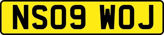 NS09WOJ