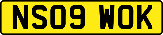NS09WOK