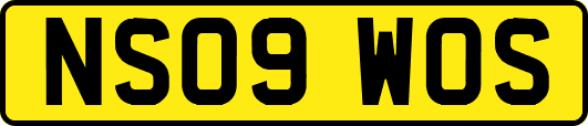 NS09WOS
