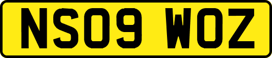 NS09WOZ