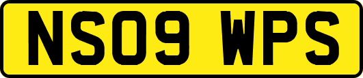 NS09WPS