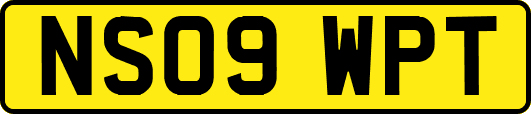 NS09WPT