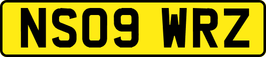 NS09WRZ