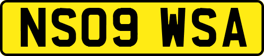 NS09WSA