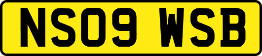 NS09WSB