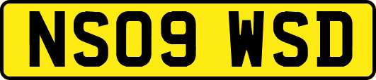NS09WSD
