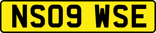 NS09WSE
