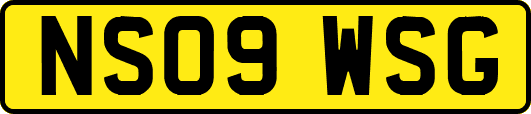 NS09WSG