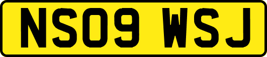 NS09WSJ