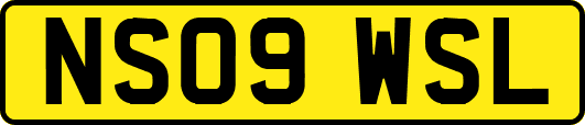 NS09WSL